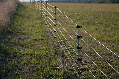 basic electric fence grazing practises