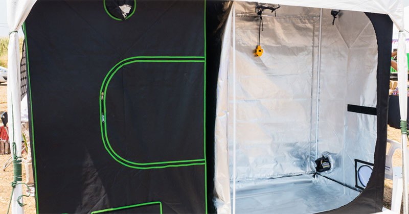best 4×8 grow tents