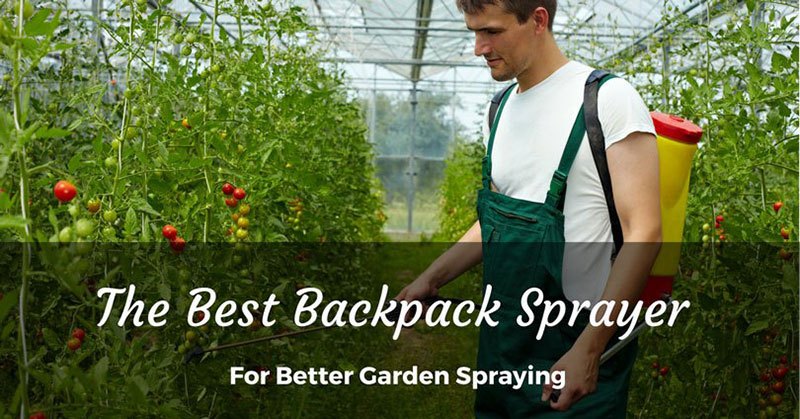 best backpack sprayer