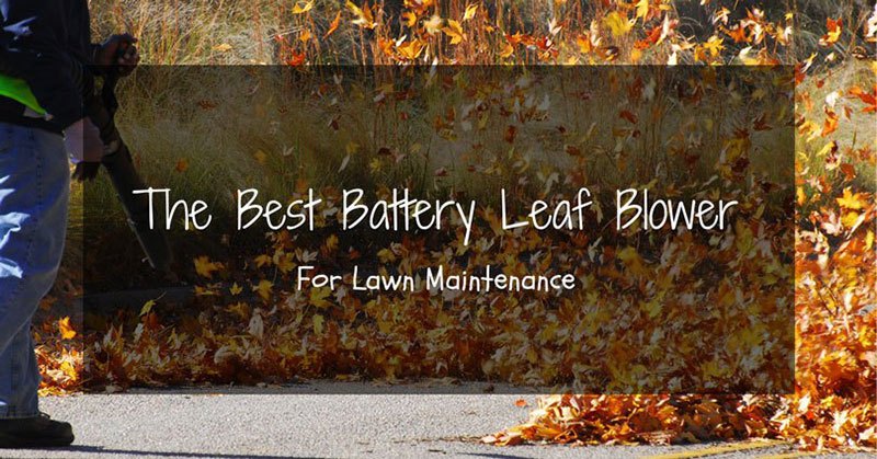 best battery-powered leaf blower