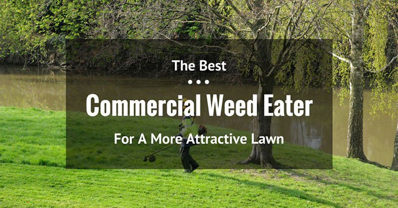 Best Commercial Weed Eater