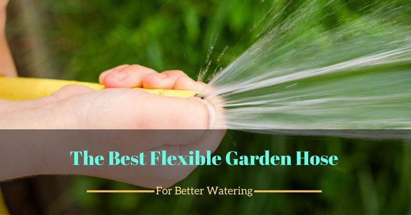 best flexible garden hose