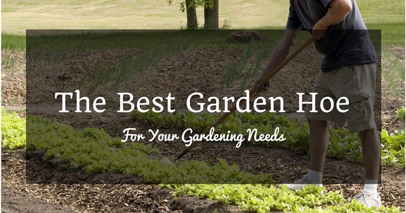 best garden hoe