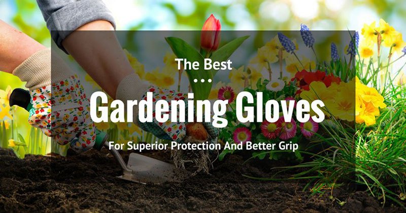 Best Gardening Gloves