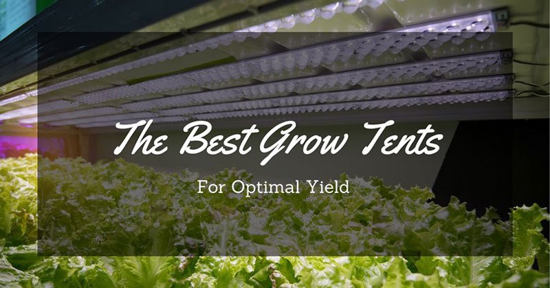 best grow tents