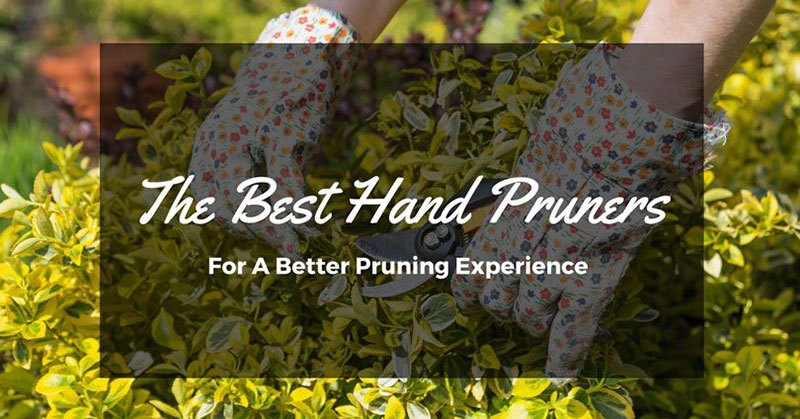 best hand pruners