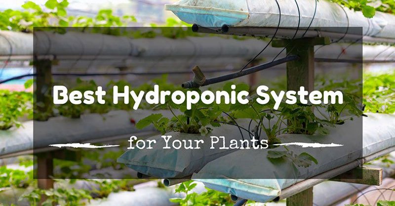 best hydroponics system