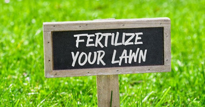 Best Lawn Fertilizer