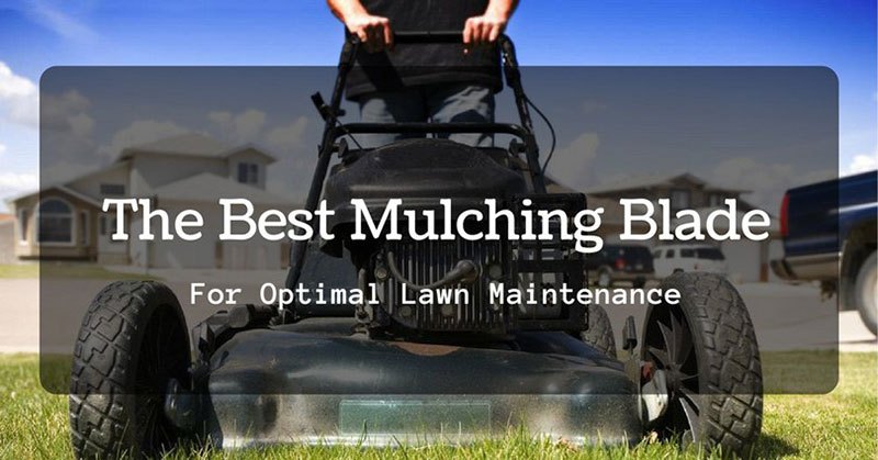 Best Mulching Blade