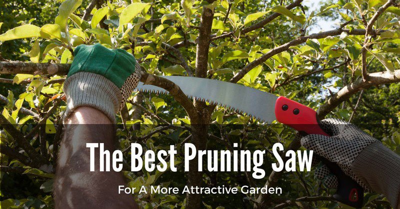 best pruning saw