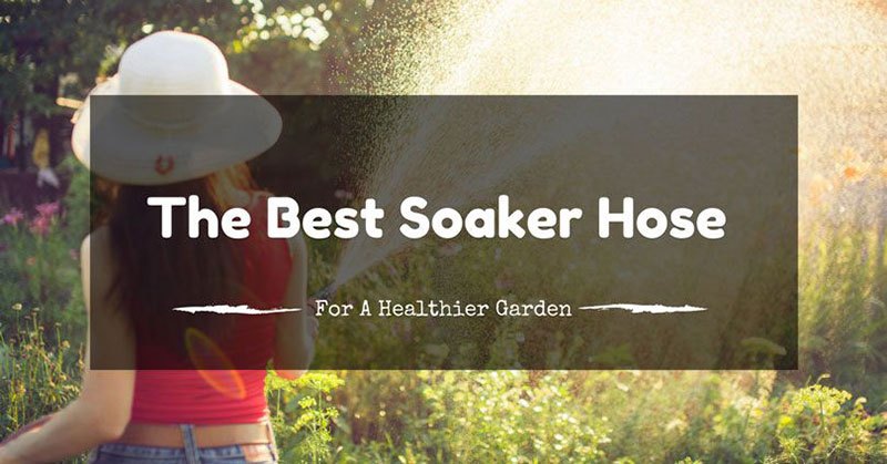 best soaker hose