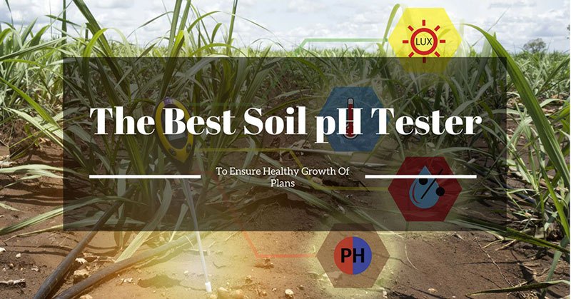 Best Soil pH Tester