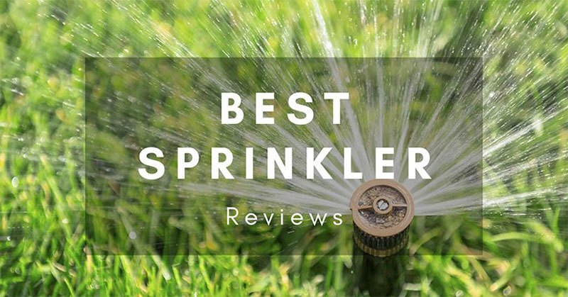 The Best Sprinkler