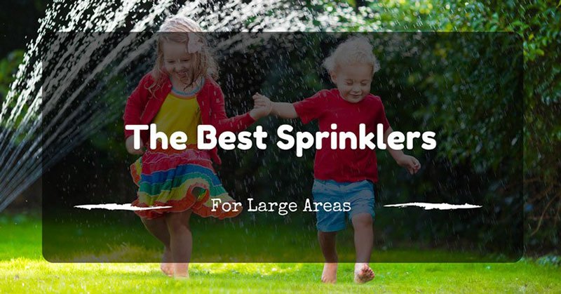 Best Sprinklers For Large Areas