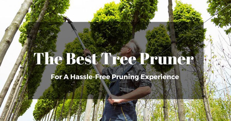 best tree pruner