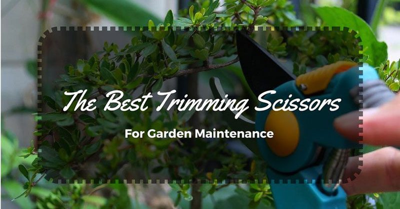 best trimming scissors