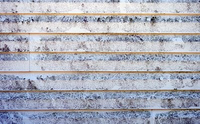 What causes mold on vinyl fences?