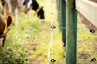 the differences between electric fence tape wire and rope