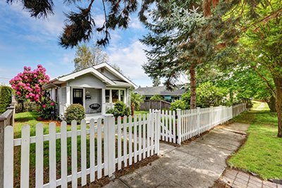 8 amazing ways to hide a fence with plants