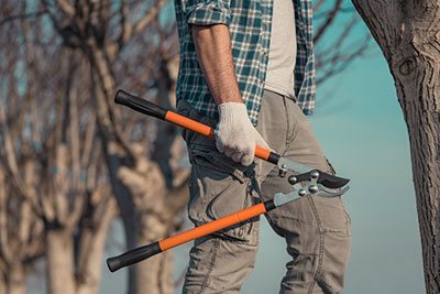 what are the best extendable tree loppers