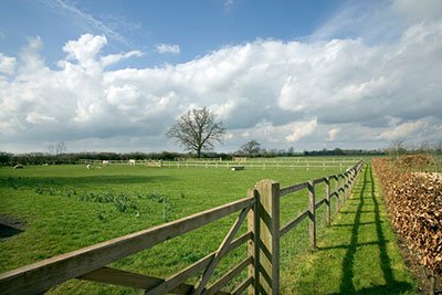 cost of cattle fencing