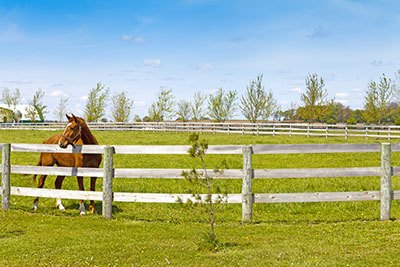 common cattle fencing mistakes