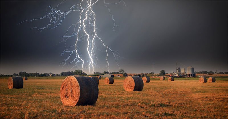 electric fence lightning protection