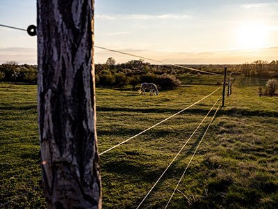 types of fencing wire