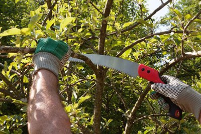 best pruning saw 2023