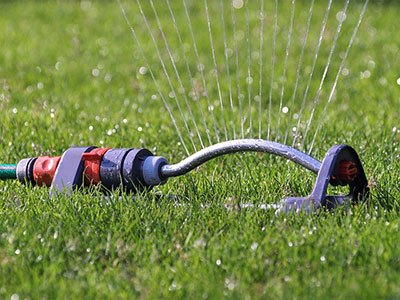 how to kill dallisgrass in lawn