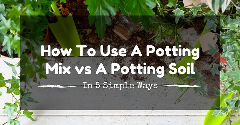 potting mix vs. potting soil