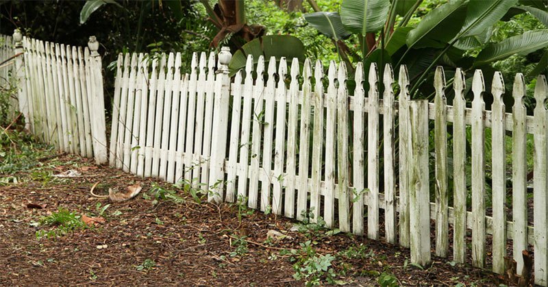 prevent mold on vinyl fence