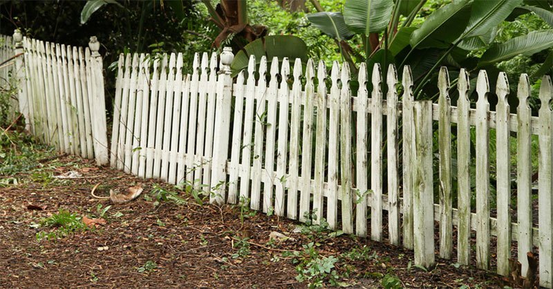 prevent mold on vinyl fence