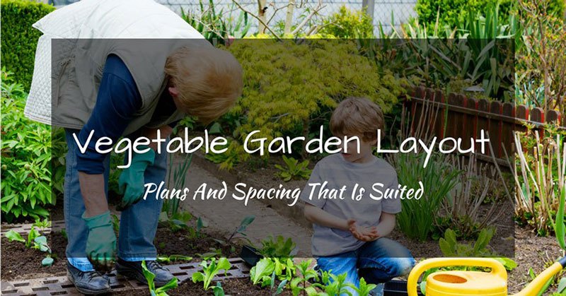 Vegetable Garden Layout Plans And Spacing