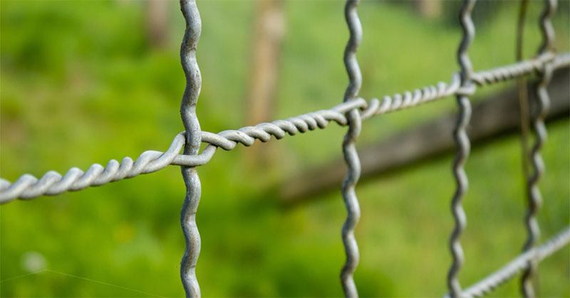 woven wire fence