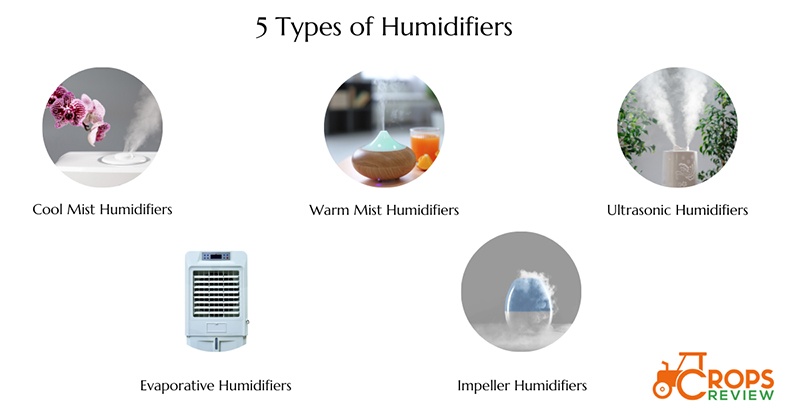5 Types of Humidifiers