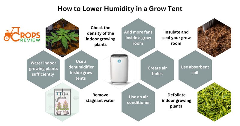 How to lower humidity in a grow tent