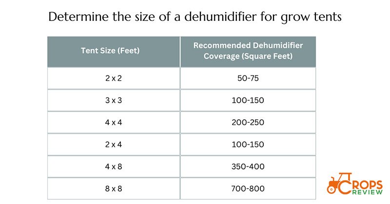 How Do You Find Dehumidifiers' Sizes Based on Grow Tent Sizes?