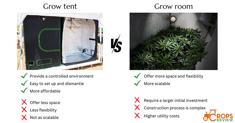 pros and cons of grow tents when compared to grow rooms