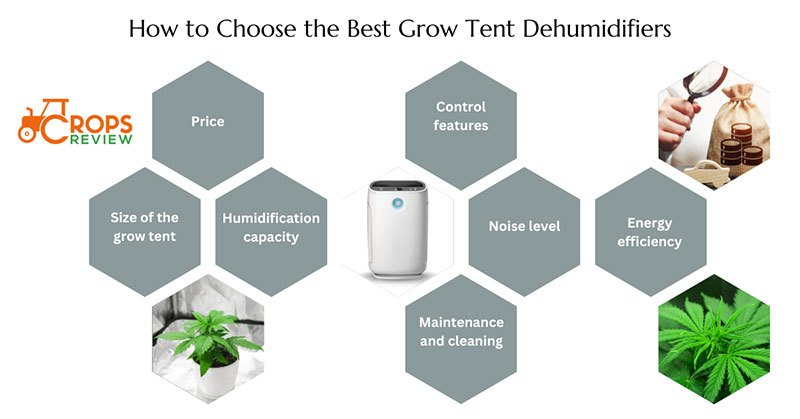 How to choose the best grow tent dehumidifiers
