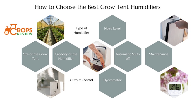 How to Choose the Best Grow Tent Humidifier for Your Plants?