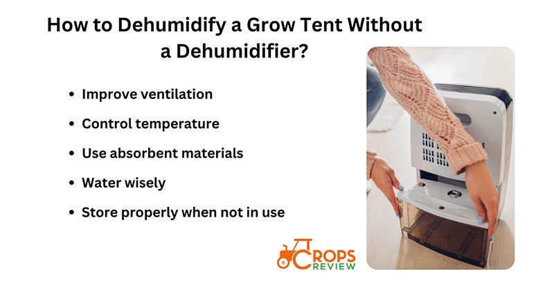 How to Dehumidify a Grow Tent Without a Dehumidifier?