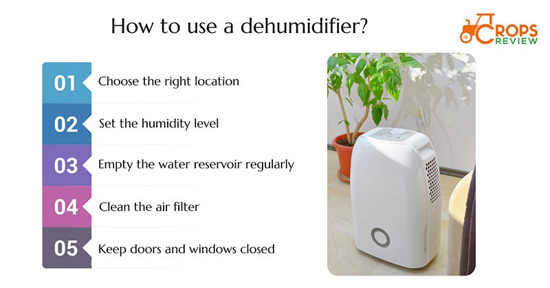 How to Use a Dehumidifier?