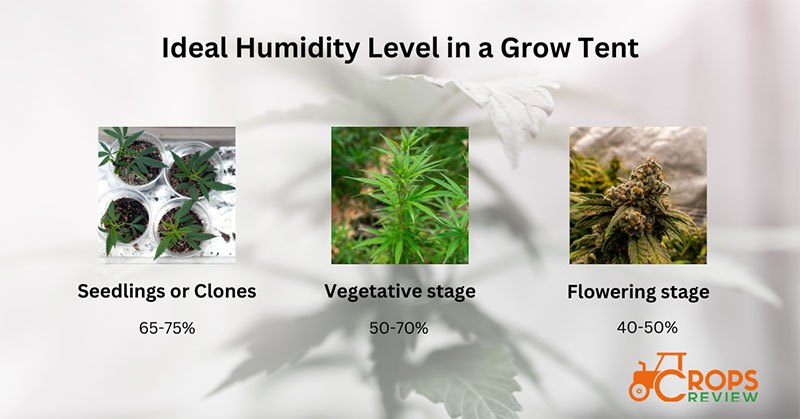 ideal humidity level in a grow tent