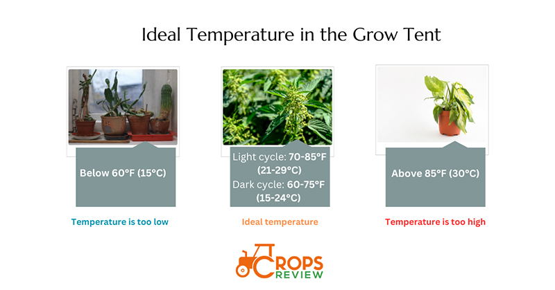 ideal temperature for a grow tent