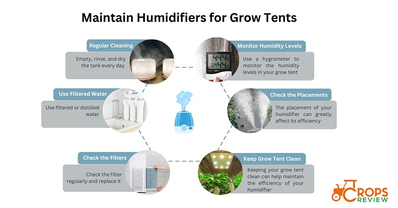 Maintain Humidifiers for Grow Tents