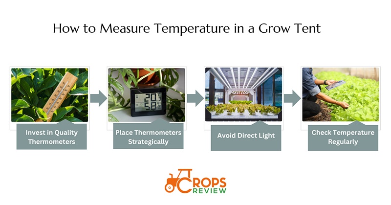 How to Measure Temperature in a Grow Tent