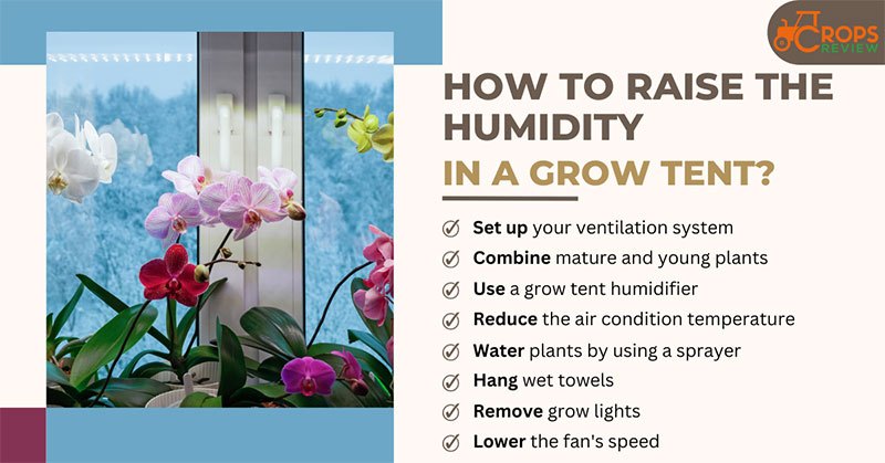 8 crucial steps to increase humidity levels in your grow tent
