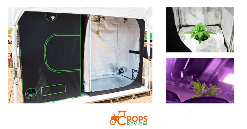 What is a Grow Tent