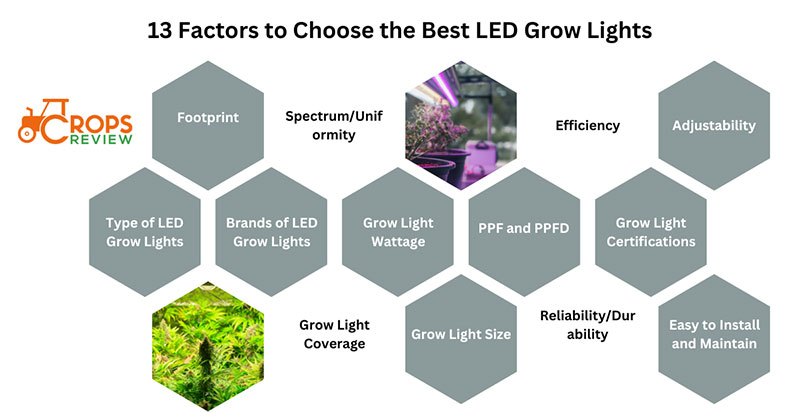 13 factors to Choose the Best LED Grow Light